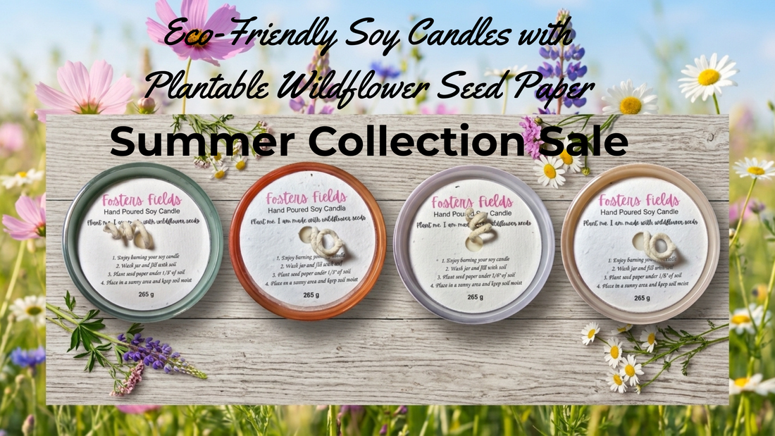 Four colorful matte glass jar soy candles from FostersFields Plant Me collection arranged on a light wood surface, each topped with a wildflower seed paper dust cover.