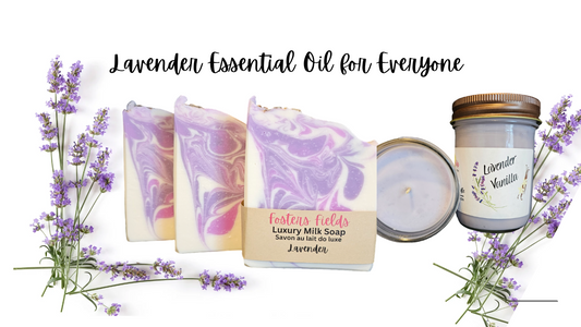 Lavender Essential Oil for Everyone