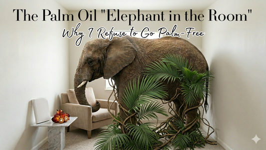 Palm oil controversy, elephant in the room blog post about palm oil