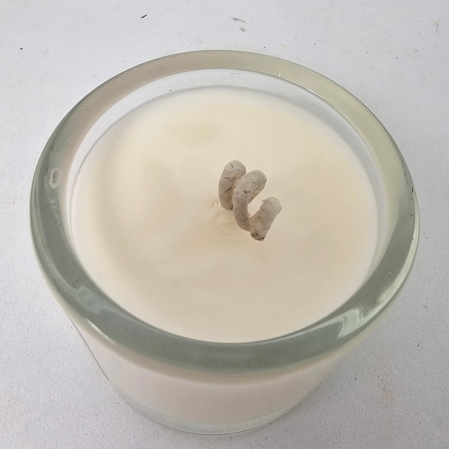 Natural Soy Candle Mini Garden Zen